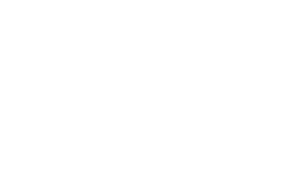 Baggerfestival